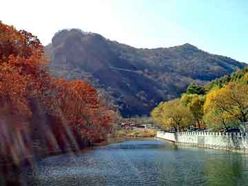 澳门天天免费精准大全，平和seo排名